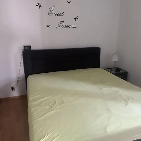 Casa Chimp 5 *
